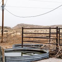 Criss Ranch images 3