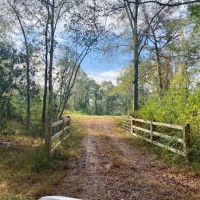 221 Acres of Premium Hunting Pike Co. images 2