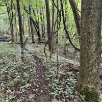 Route 136 Allegheny County - images 2