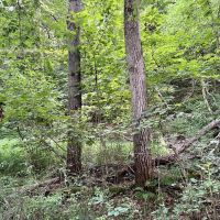 Route 136 Allegheny County - images 5