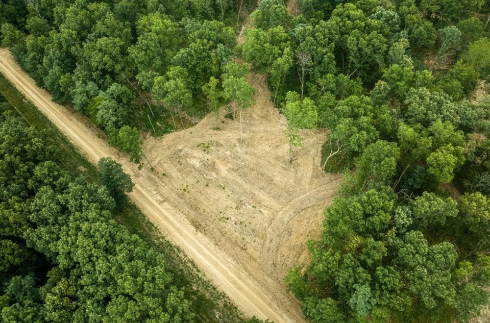 Whitetail Ridge Tract 22 featured image