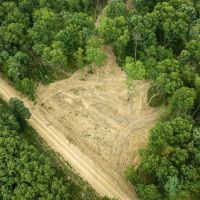 Whitetail Ridge Tract 22