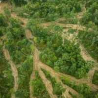 Whitetail Ridge Tract 22 images 2