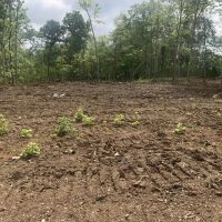 Whitetail Ridge Tract 22 images 3
