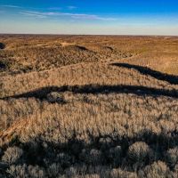 Timber View 120