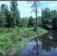 635 Acres in Newton County in Perdue MS images 3