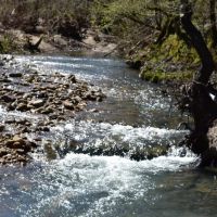 Clear Springs Ranch Lake Ouachita Master 153 images 5