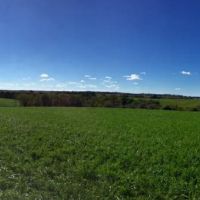 Whitetail Hunting - NE Iowa Allamakee County Semi Guided Hunts