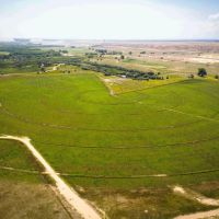 Tee Cross Ranches Southern Hay Operation images 4
