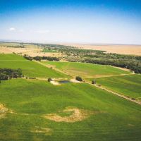 Tee Cross Ranches Southern Hay Operation images 5