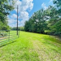 Custom Doublewide on 20 acres Magnolia MS images 2