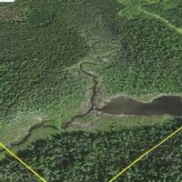500 Acres w Stream 50101446 images 2