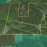 500 Acres w Stream 50101446 images 3