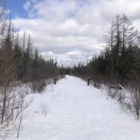 500 Acres w Stream 50101446 images 4