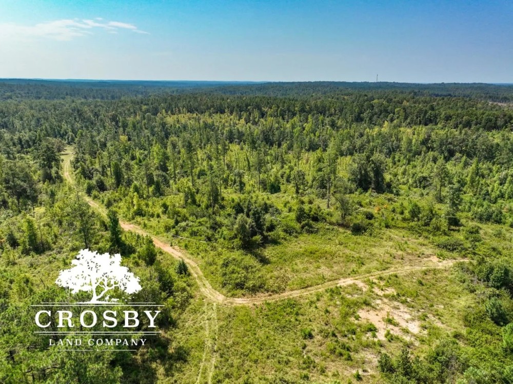 99 Road Tract featured image