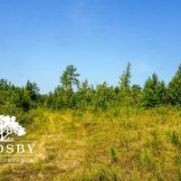99 Road Tract images 2