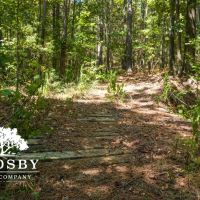 99 Road Tract images 3