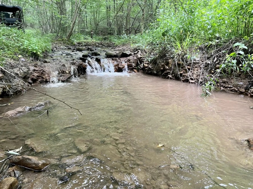 Turkey Foot Rd. Fayette County - 293 acres featured image