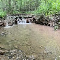 Turkey Foot Rd. Fayette County - 293 acres