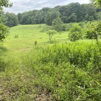 Turkey Foot Rd. Fayette County - 293 acres images 2