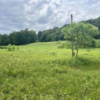 Turkey Foot Rd. Fayette County - 293 acres images 3