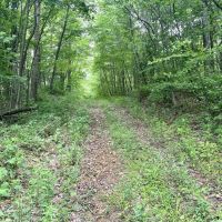 Turkey Foot Rd. Fayette County - 293 acres images 4