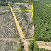 10 Acres County Road 2108 T-3 images 3