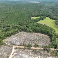 10 Acres County Road 2108 T-3 images 4