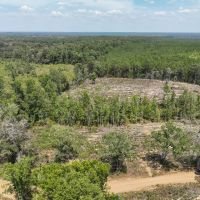 10 Acres County Road 2108 T-3 images 5