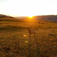 North Bridger Mountain Ranch images 3