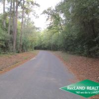 14.6 ac - Wooded Tract for Home Site - PRICE REDUCED