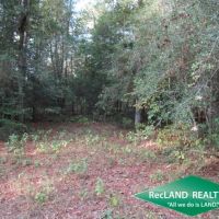 14.6 ac - Wooded Tract for Home Site - PRICE REDUCED images 2