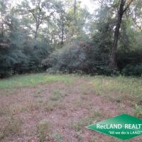 14.6 ac - Wooded Tract for Home Site - PRICE REDUCED images 3