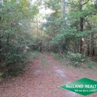 14.6 ac - Wooded Tract for Home Site - PRICE REDUCED images 4