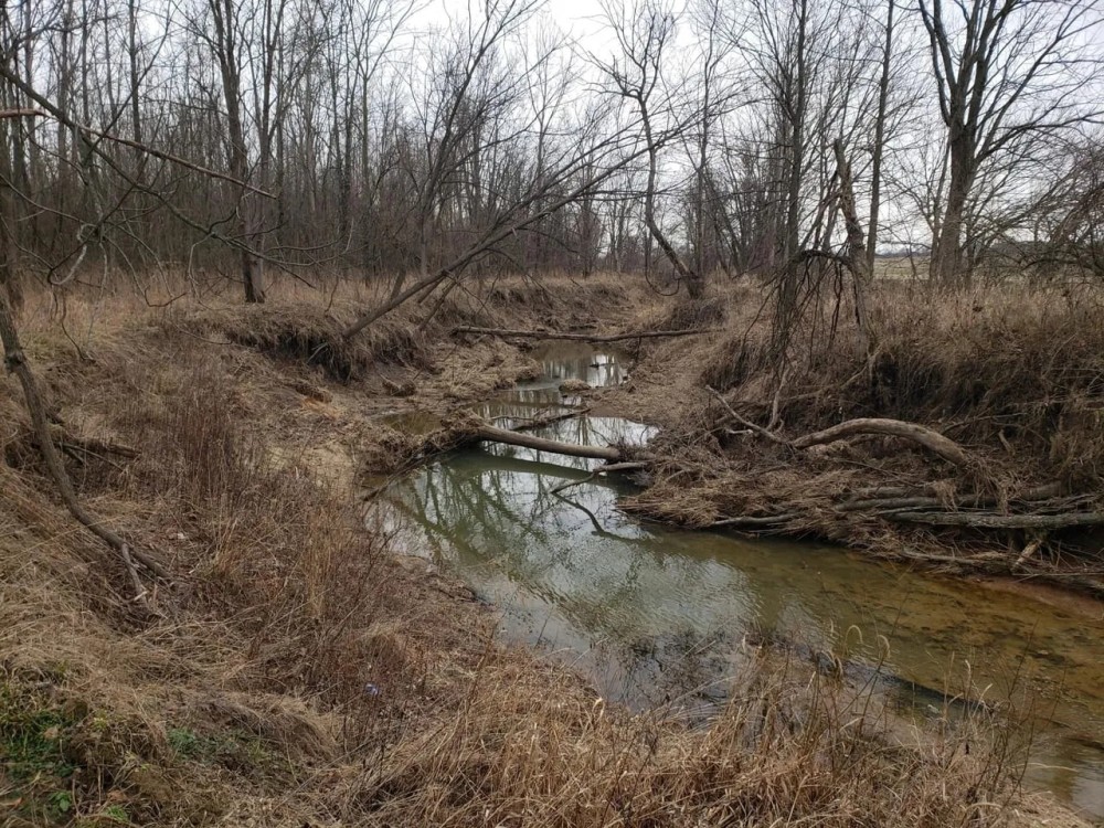 Big Slough 43 featured image