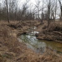Big Slough 43