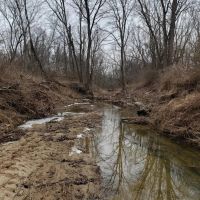 Big Slough 43 images 5