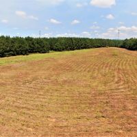 04-020-pearson-alabama-oxbow-454 images 3