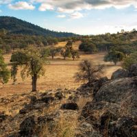 Marshes Flat Ranch