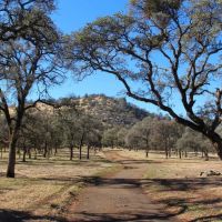 Marshes Flat Ranch images 2