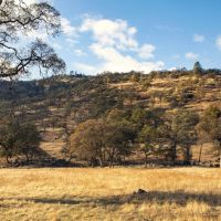 Marshes Flat Ranch images 4