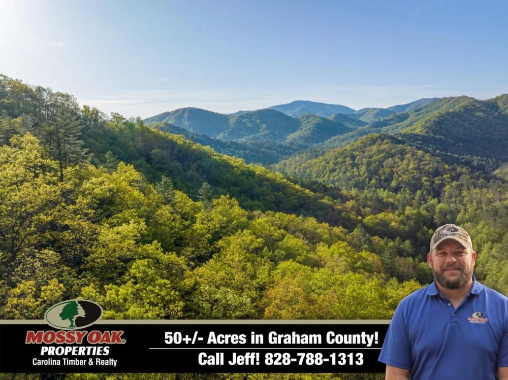 50 - Acres Bordering U.S. Forest Service in Graham County featured image