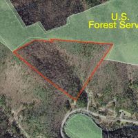 50 - Acres Bordering U.S. Forest Service in Graham County images 2