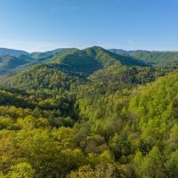 50 - Acres Bordering U.S. Forest Service in Graham County images 4