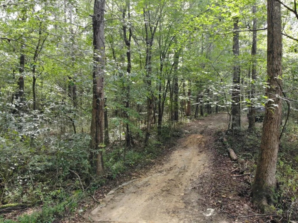 59-020-little-canoe-creek featured image