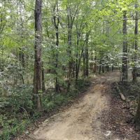 59-020-little-canoe-creek