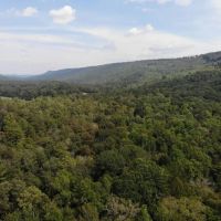 59-020-little-canoe-creek images 2