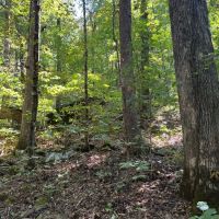 59-020-little-canoe-creek images 5