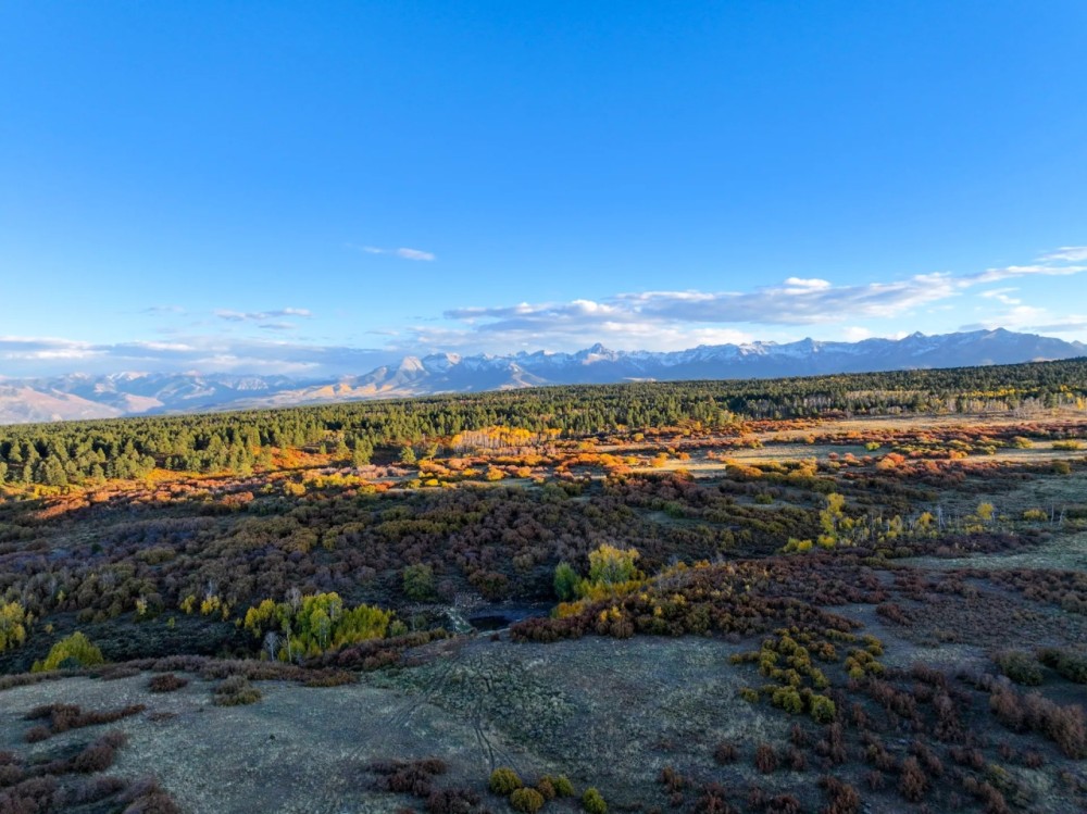 Ponderosa Ridge Ranch featured image