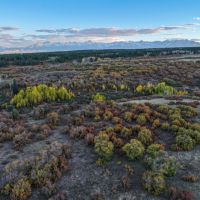 Ponderosa Ridge Ranch images 2
